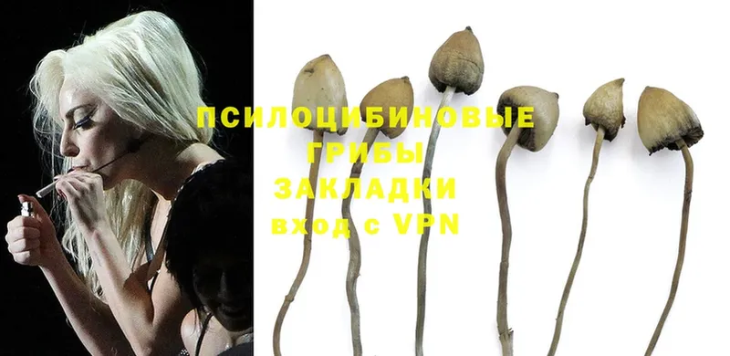 Галлюциногенные грибы Magic Shrooms  что такое   Уварово 